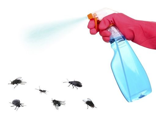 spray per debellare insetti