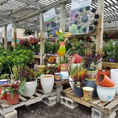 Assorted potted plants and colorful garden planters arranged on wooden pallets inside a garden center nursery.