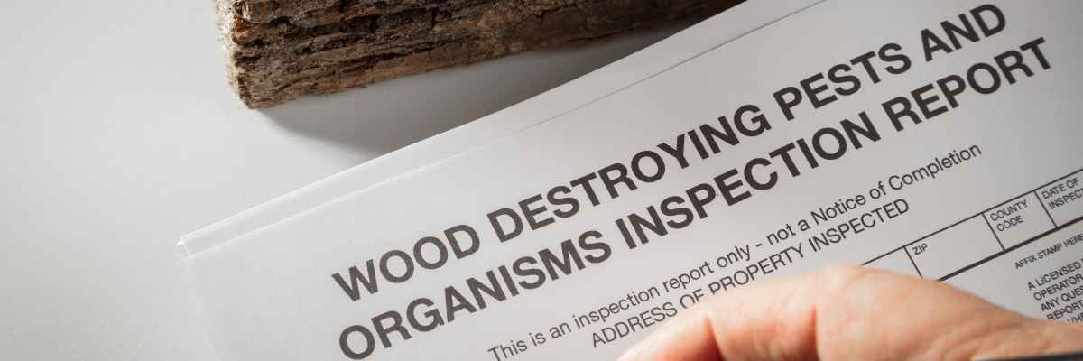 Image of wood destroying pests and organisms inspection report