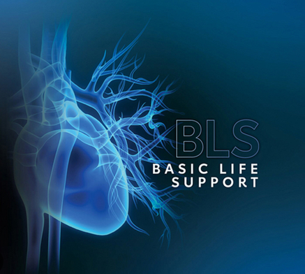 Basic Life Support (BLS)