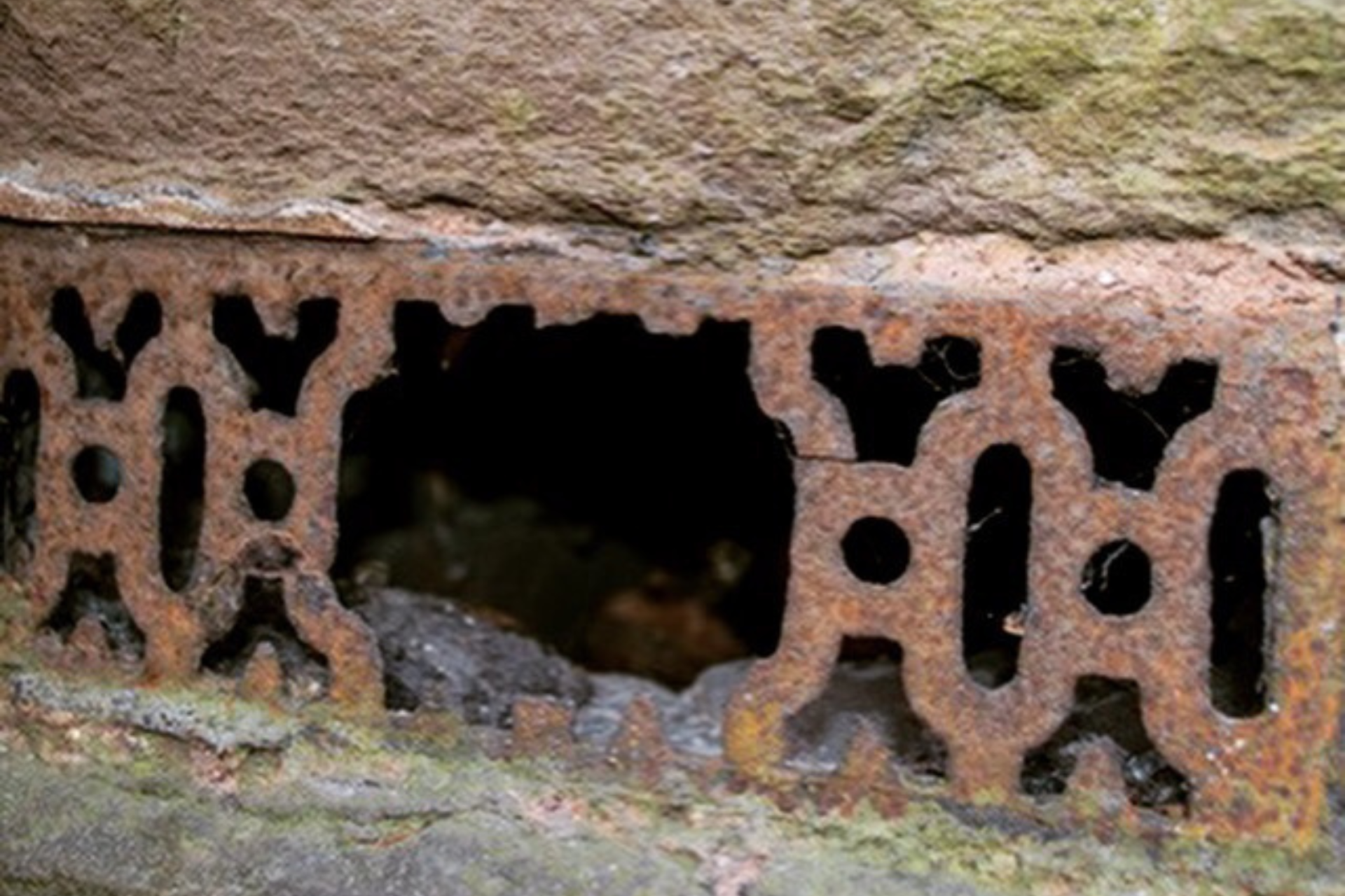 pest proofing and exclusion bristol bath