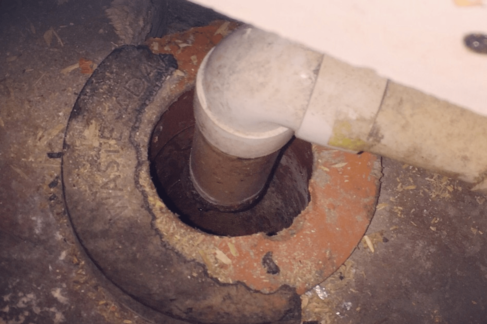Rats drains control bristol