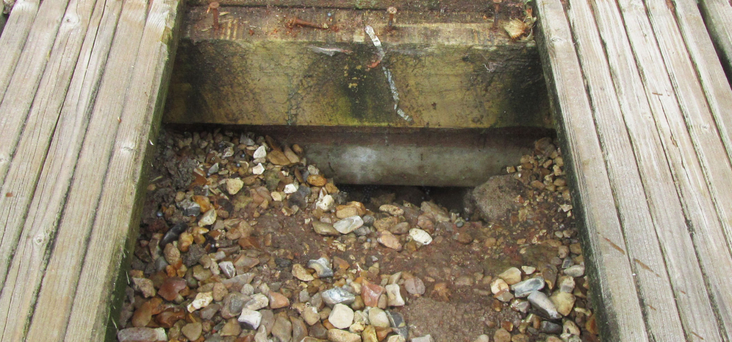 rats getting into wall cavities and floor cavities through open utility bridges in foundations