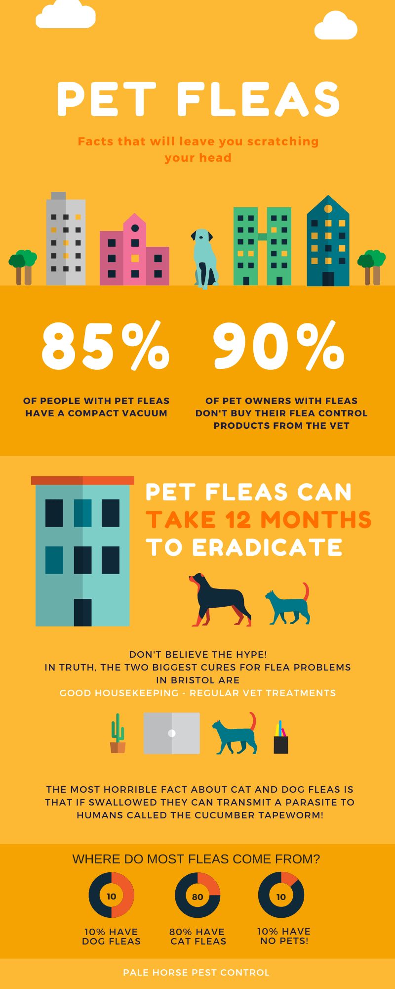 pet fleas guide