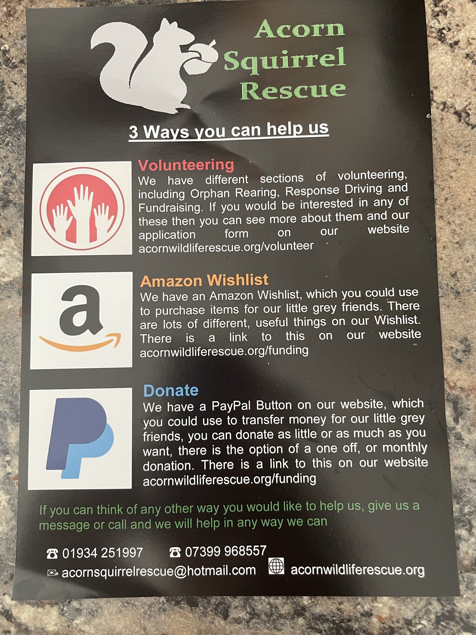 squirrel rescue centre details