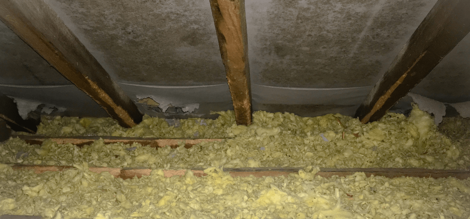 squirrel damage in attic showing damaged insulation, wires and timbers