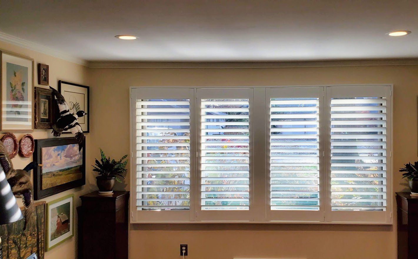 best-plantation-shutters-option-treatment-near-me