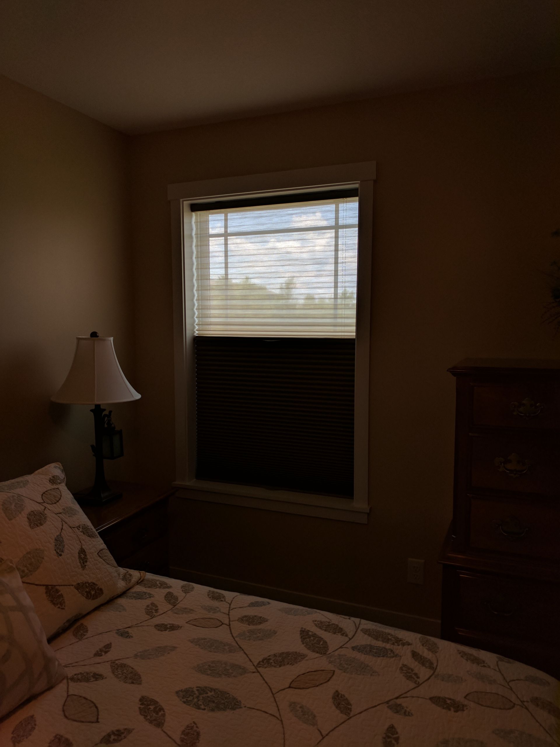 Solar Shield Honeycomb Shades sheer and blackout TriLight Shade