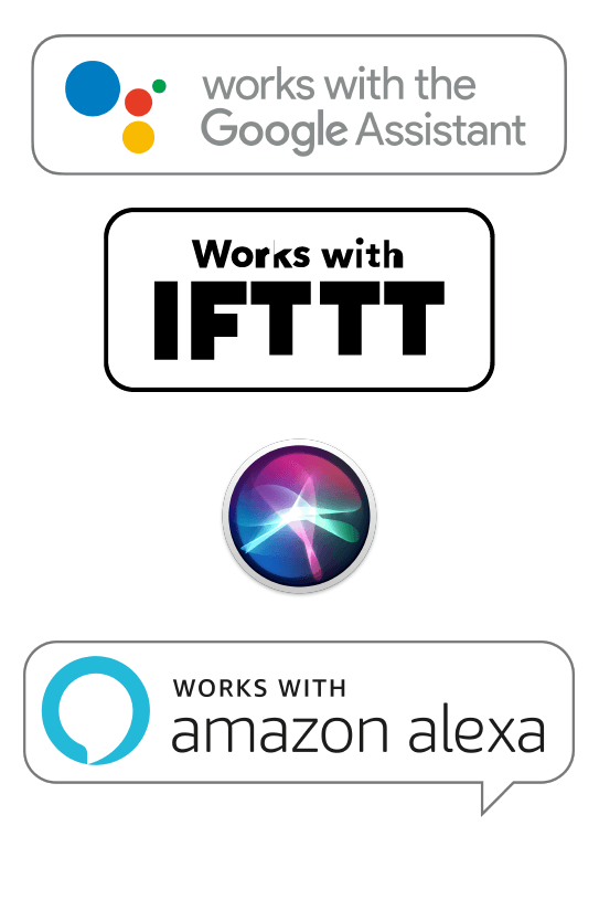 voice assistant
