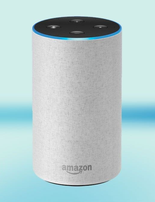 voice control device