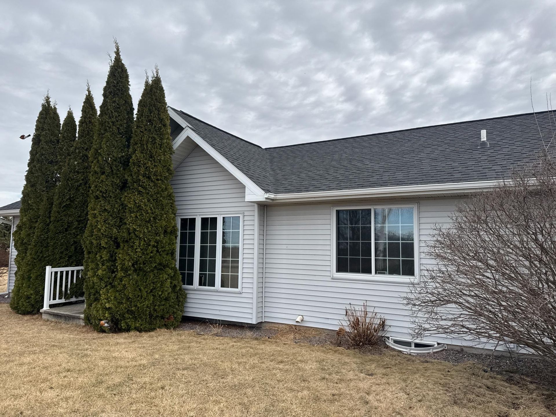A single-story house with white siding and a dark gray shingled roof, fronted by several tall, green arborvitae trees.