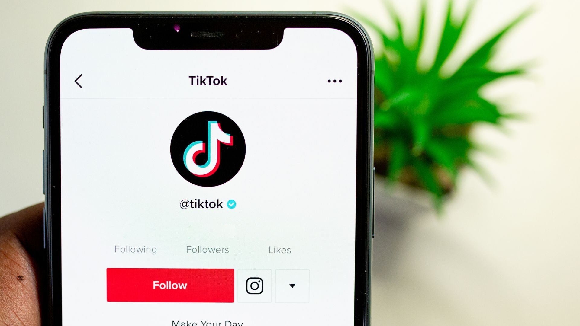 TikTok for restaurant marketing