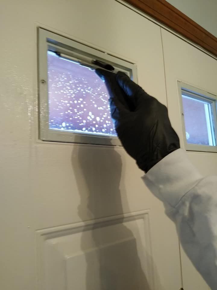 Window Cleaning On Door — Hadley, MA — Family Window Cleaning & Property Maintenance