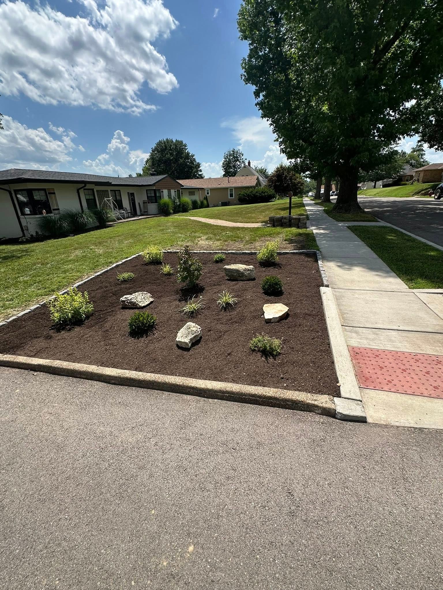 A garden bed with mulch, small plants, and rocks next to a sidewalk and houses on a sunny day.