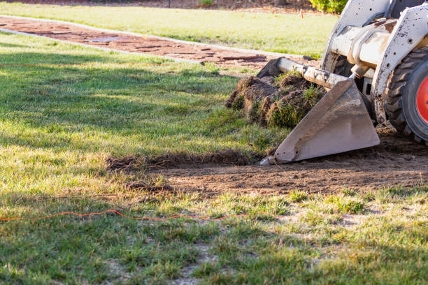 A skid-steer loader scoops sod and topsoil from a grassy lawn, creating a trench for a landscaping project.
