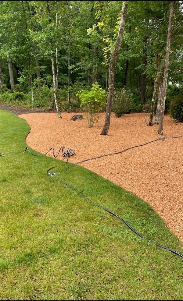 A lawn with a hose in the middle of it and trees in the background.