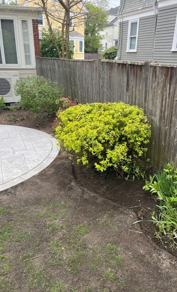 A backyard with a fence and a bush in the middle of it.