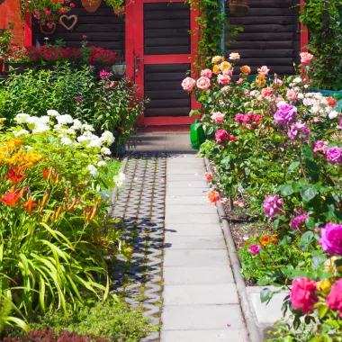 Scarlet and Gray Power Washing - A path in a garden with lots of flowers and plants
