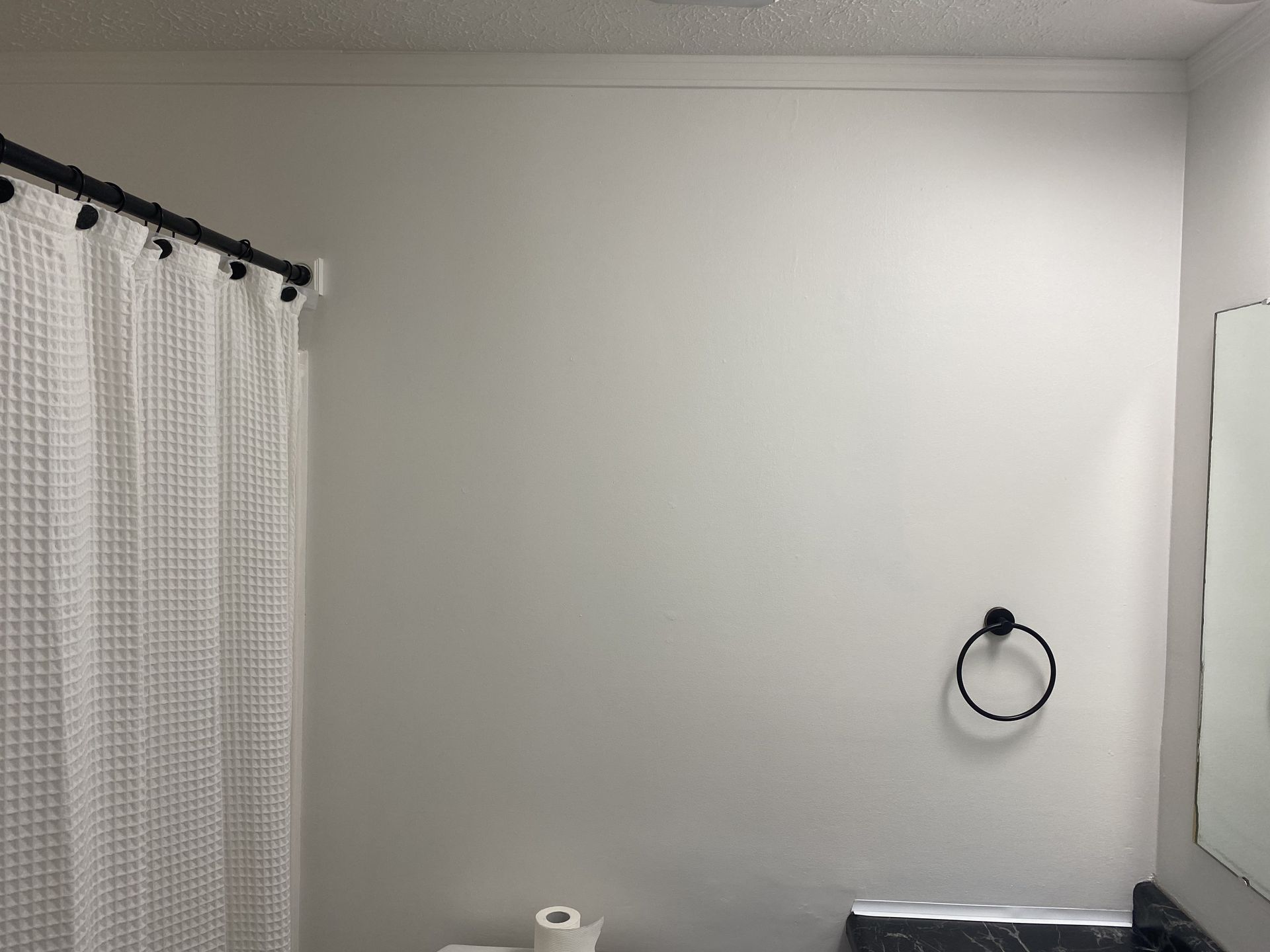 A bathroom wall with a white shower curtain, a black towel ring, and a partial view of a mirror and counter.