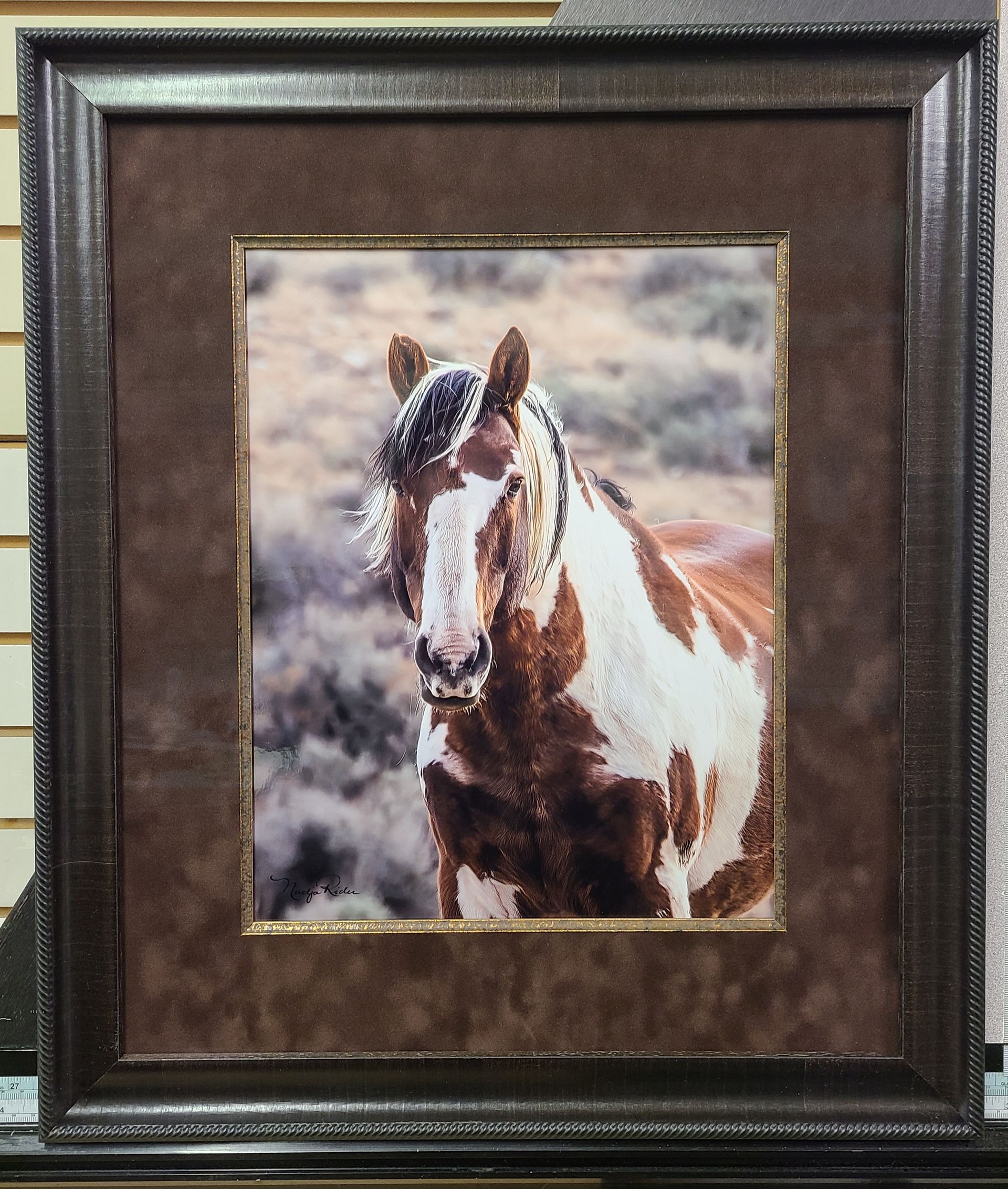 A framed picture of a brown and white horse