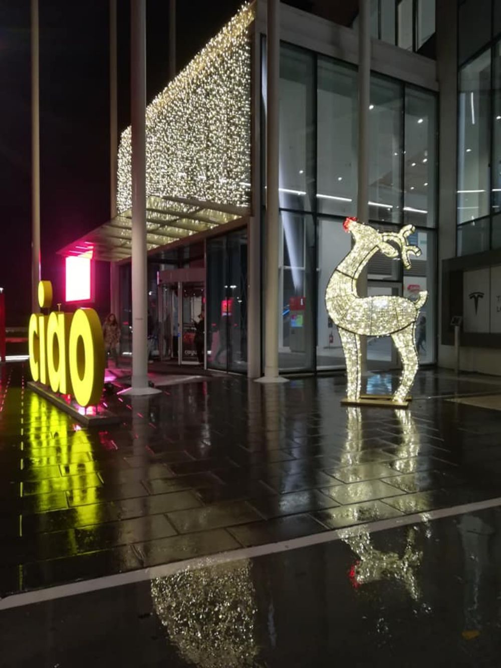 illuminazione natalizia edificio