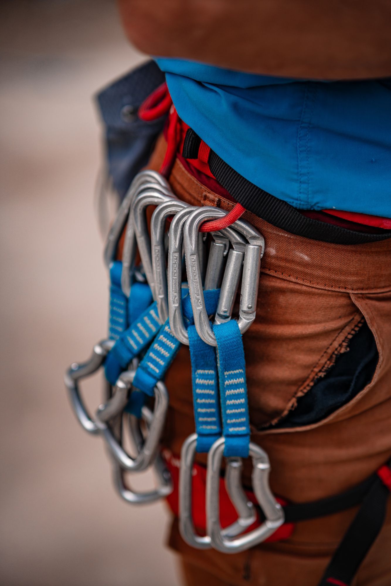 Primer plano del arnés de un escalador con cintas exprés. Mosquetones azules y plateados sujetos al arnés.