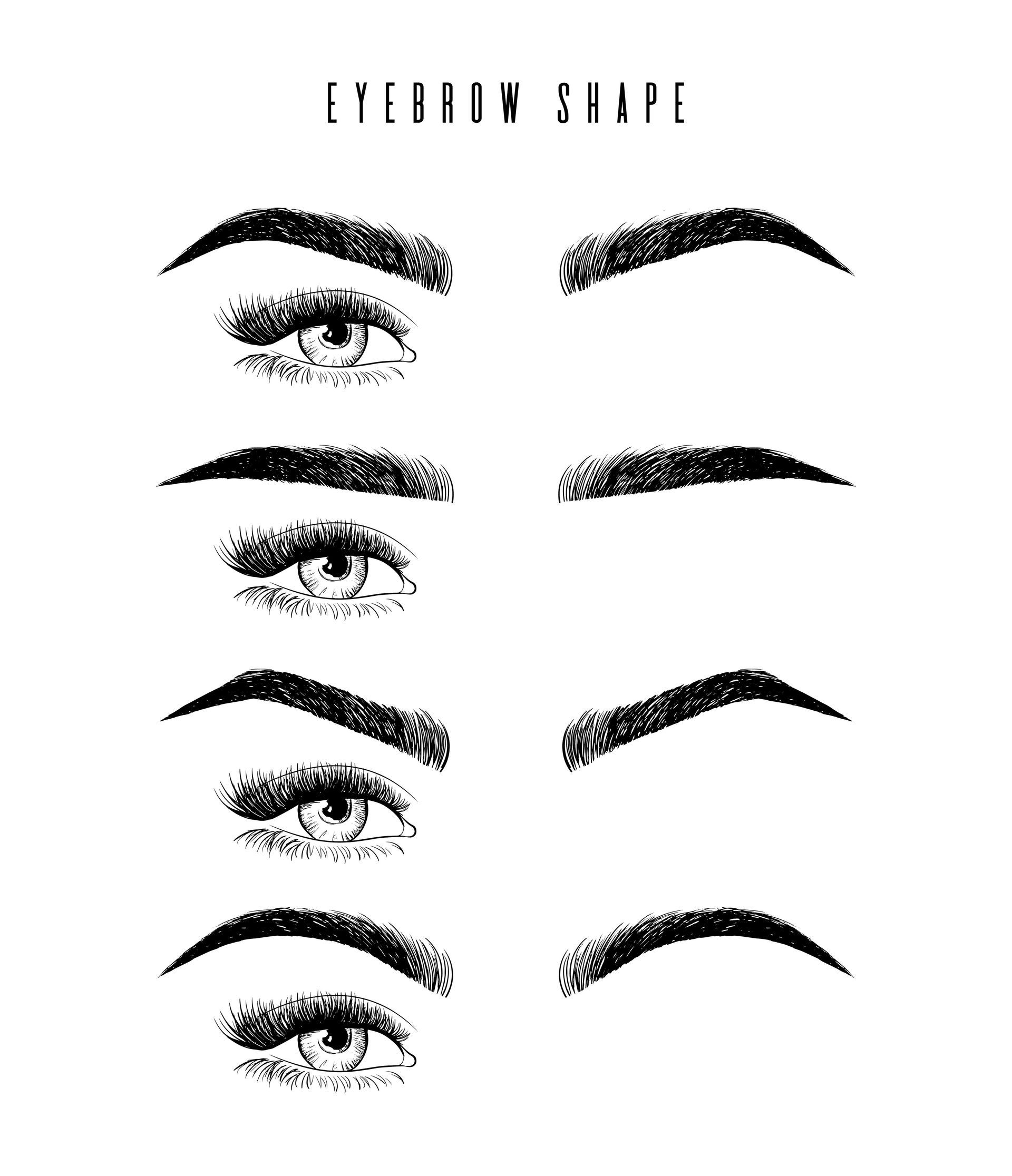 Variations of eyebrow shapes illustrated above eyes; examples include arched and straight.