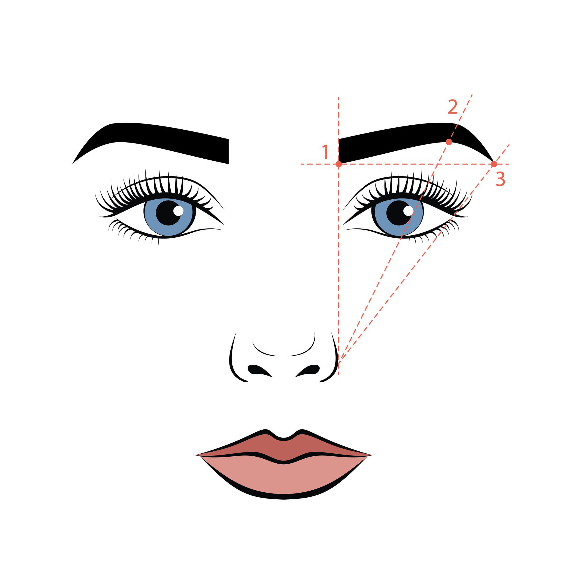 Diagram illustrating eyebrow shaping using facial landmarks.