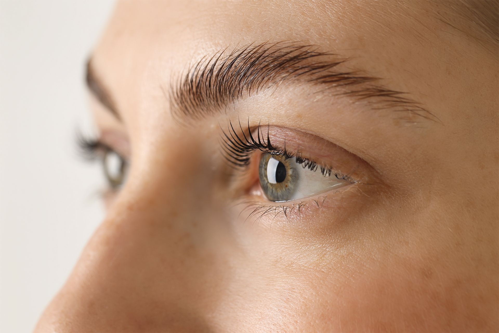 Close-up of a woman eyelashes and eyebrows, with soft natural light on the face.