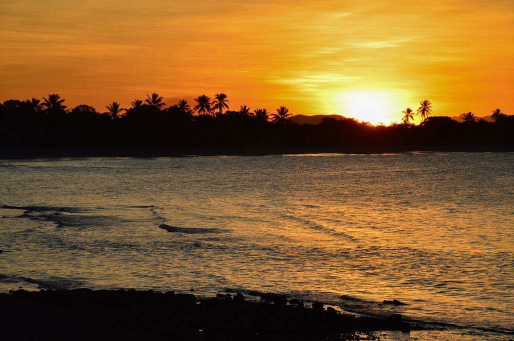 A Sunset Over A Body Of Water With Palm Trees In The Background — Tuscany Concreting In Bowen, QLD