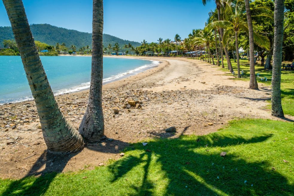 A Tropical Beach With Palm Trees And A Path Leading To The Water — Tuscany Concreting In Airlie Beach, QLD