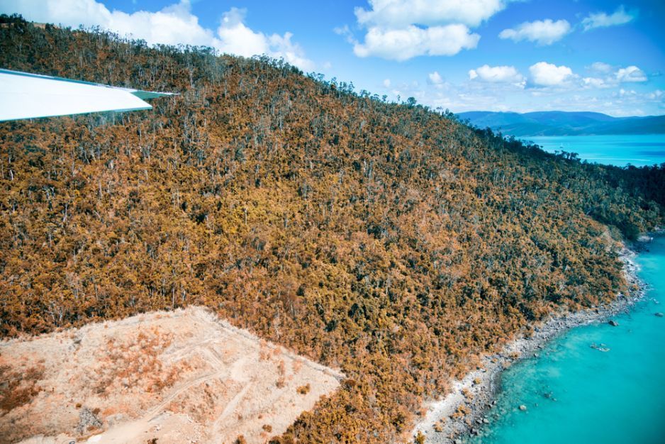 An Aerial View Of A Lush Green Hillside Next To A Body Of Water — Tuscany Concreting In Airlie Beach, QLD