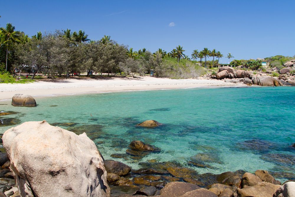 A Beach With A Large Rock In The Foreground And Palm Trees In The Background — Tuscany Concreting In Bowen, QLD