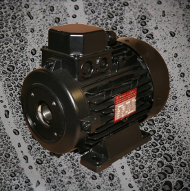 DC Pump Motor