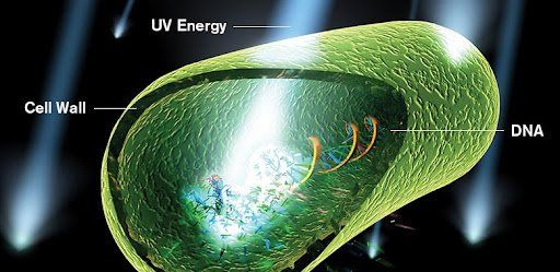UV Engery
