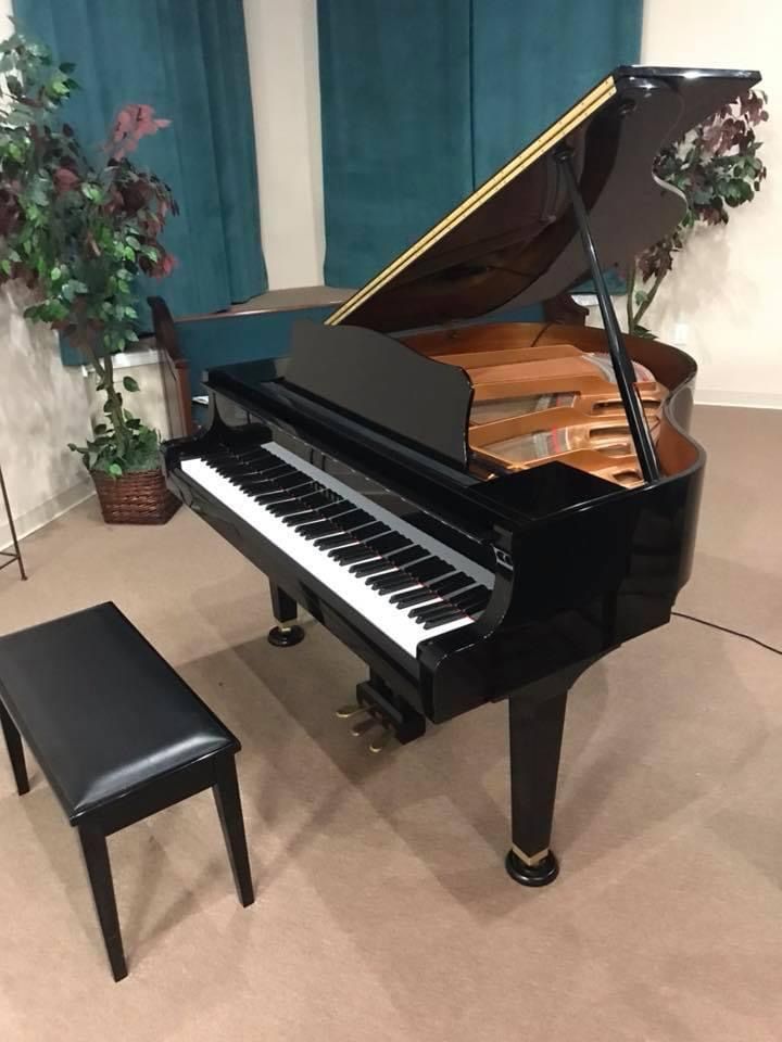 A black grand piano is sitting in a living room next to a bench.