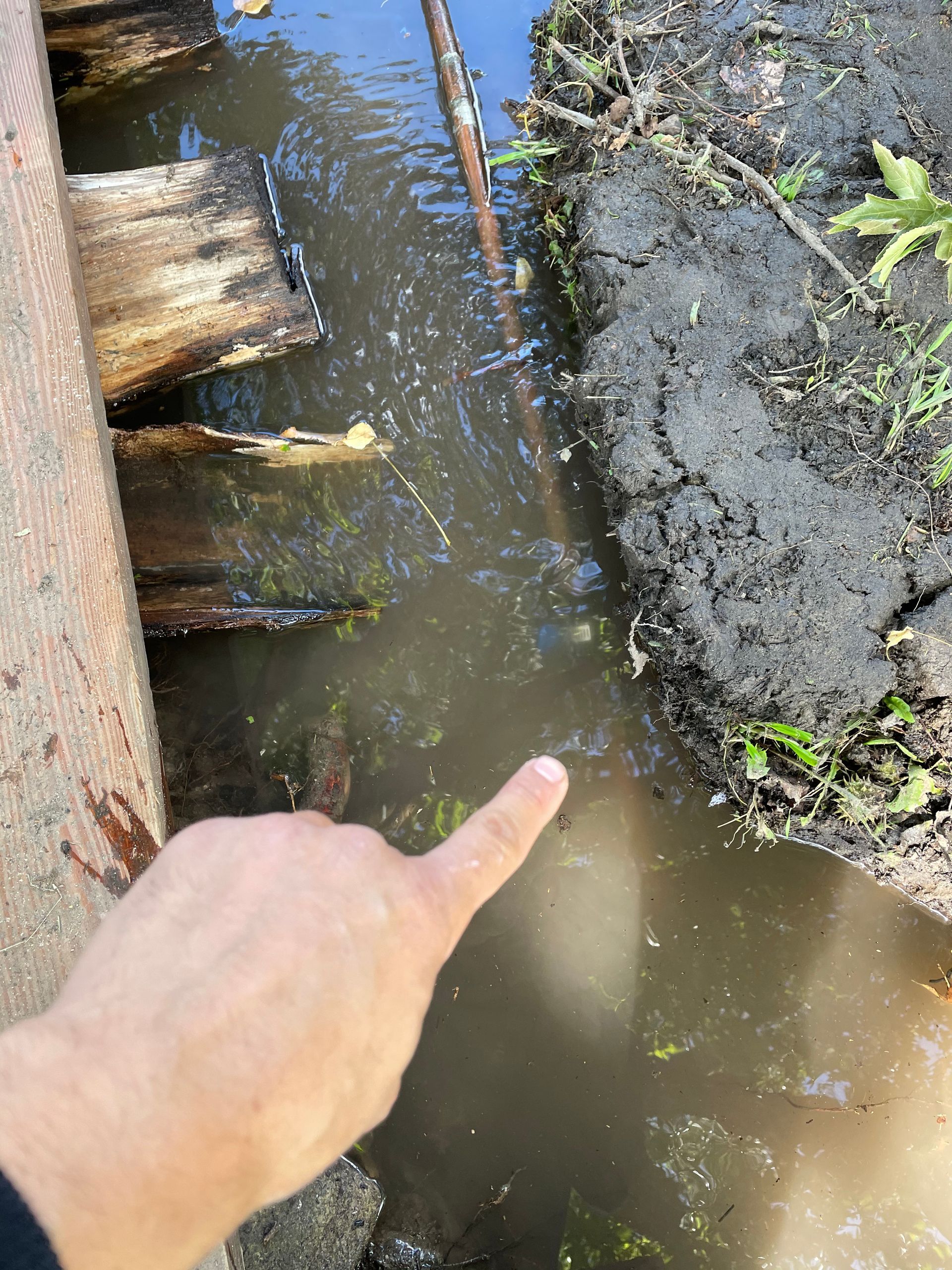 Finger Pointing Towards Murky Water by Wooden Planks and Dirt — Start 2 Finish Plumbing in Caringbah, NSW