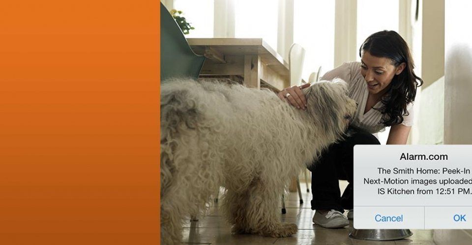 Home Automation — Security Video in Knoxville, TN