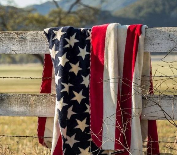 Veterans in a group meeting, seated in chairs, American flag in background.