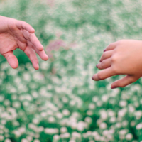 Two hands reaching toward each other over a blurred field of white flowers