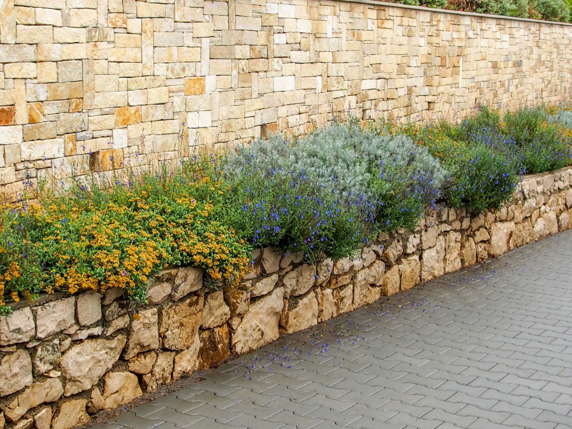 Decorative retaining wall of natural wild stone and blooming plants on top with big wall behind