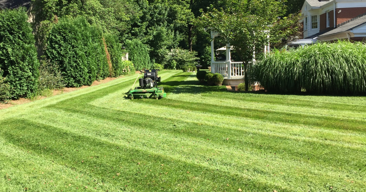 Local Lawns LLC Lawn Care Quotes