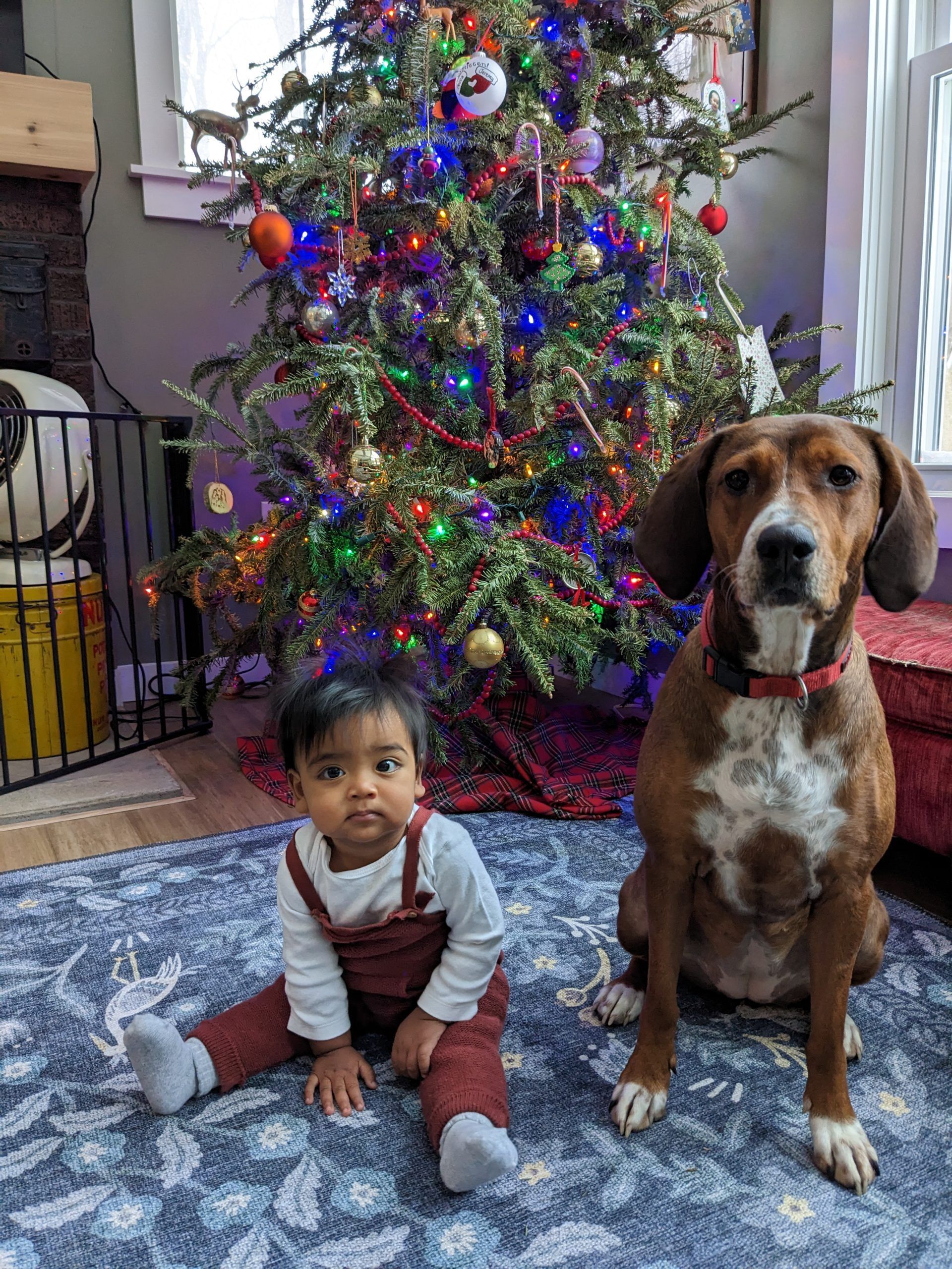 A baby and dog sit on a rug in front of a Christmas tree. The dog is brown and white and the baby is wearing red overalls.