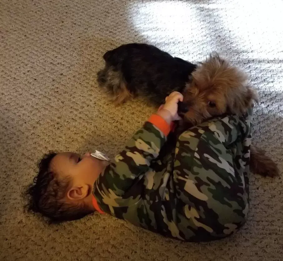 Child in camo pajamas plays with two small dogs on a beige carpet.