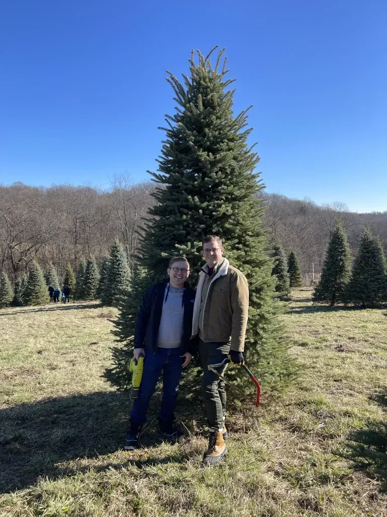 Two men stand next to a tall Christmas tree in a field on a sunny day.