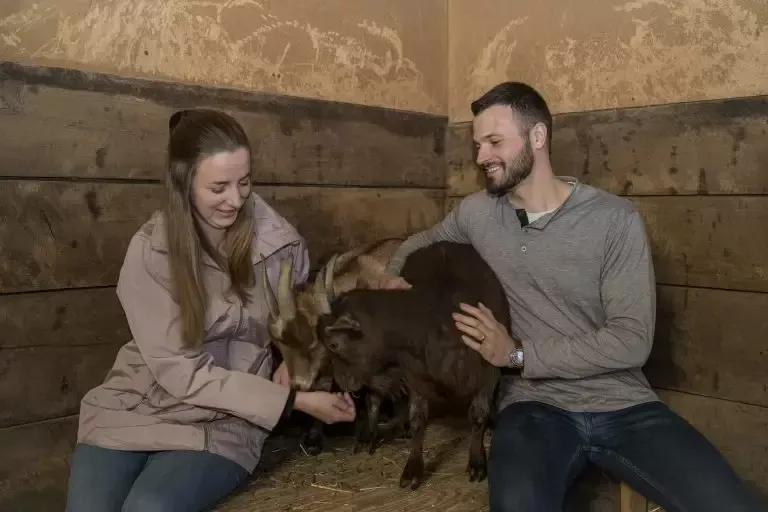 A woman and man smiling, petting goats in a rustic-looking room.