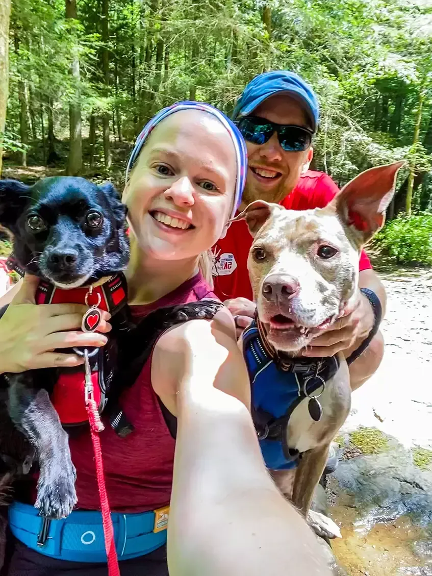 Couple smiles holding dogs on a trail. Forest setting. Blue/red harnesses.