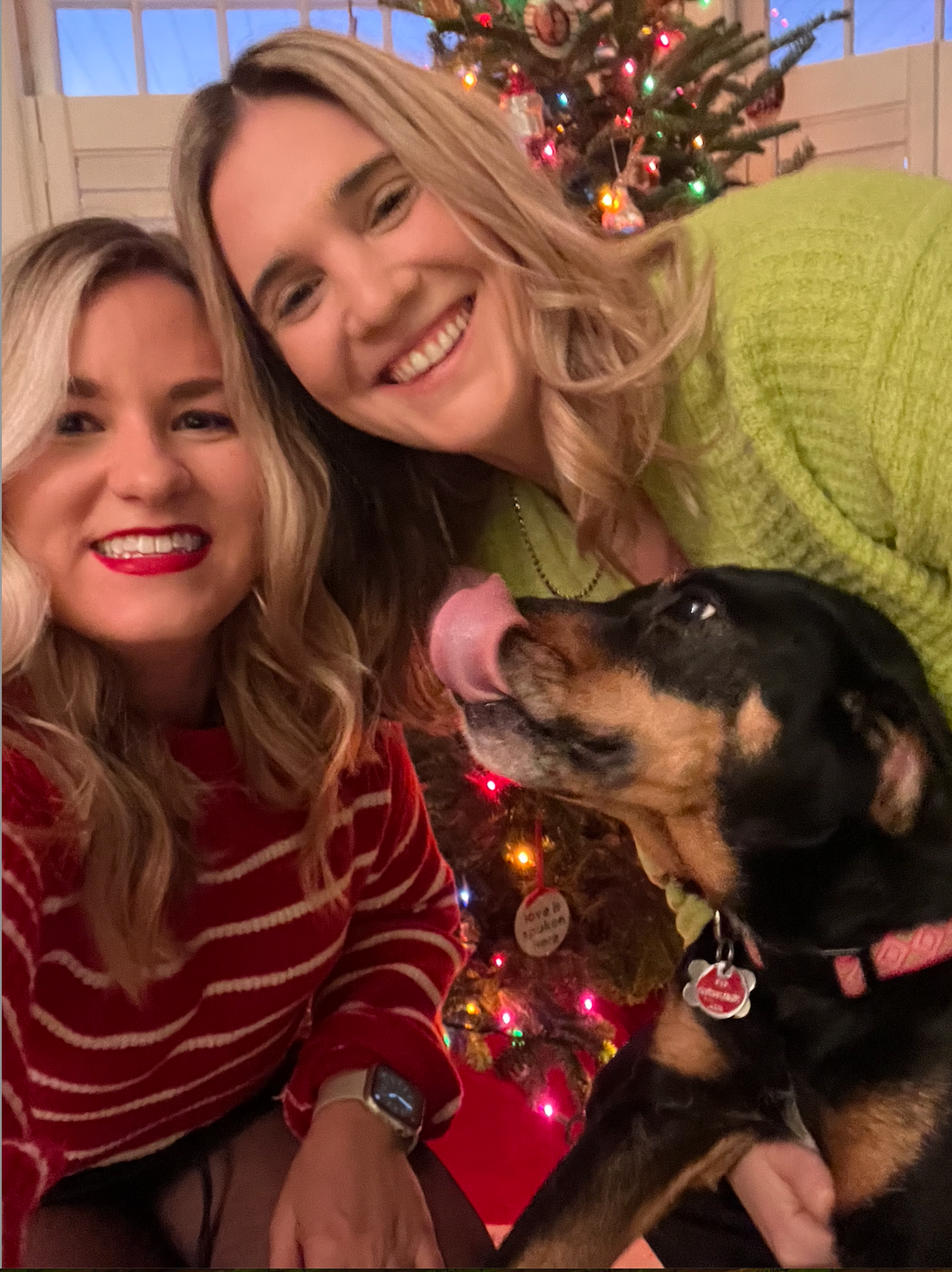 Two women smile with a dog licking one, in front of a Christmas tree, indoor setting.