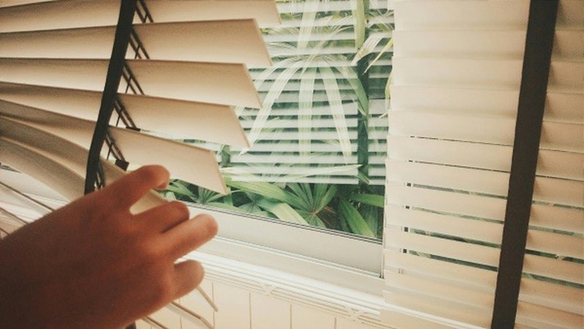 White venetian window blinds with wide horizontal slats being held open to reveal a lush green garden.