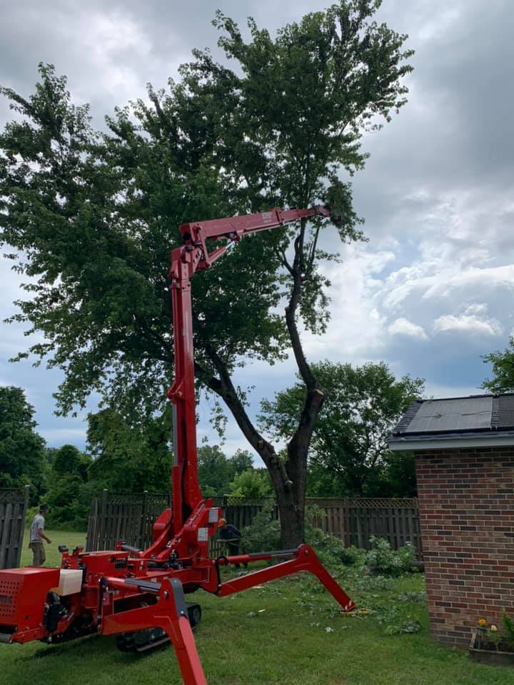 A man on a red crane is cutting a tree in a yard.